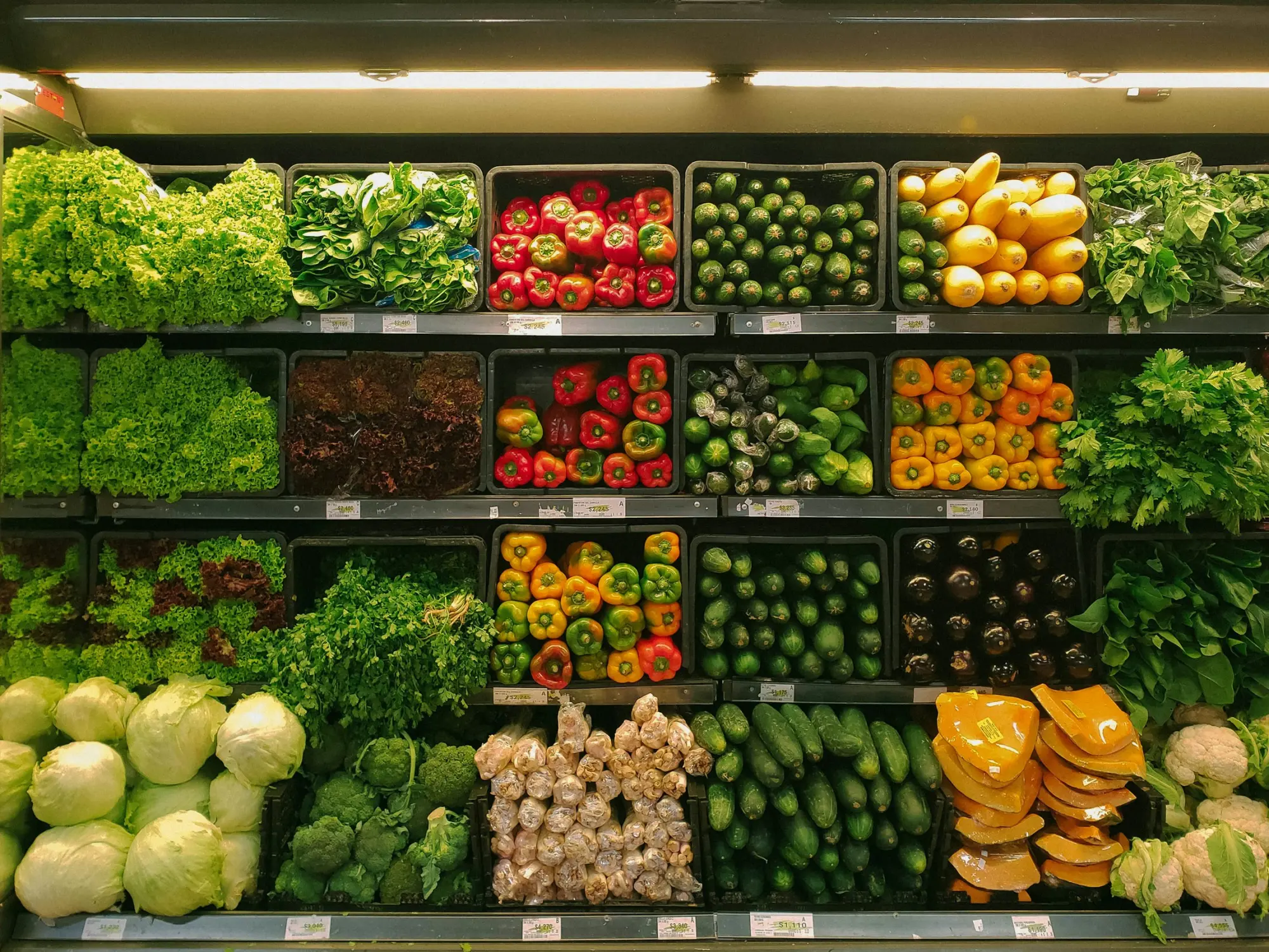 Smart Grocery Shopping: How to Save Money at the Store