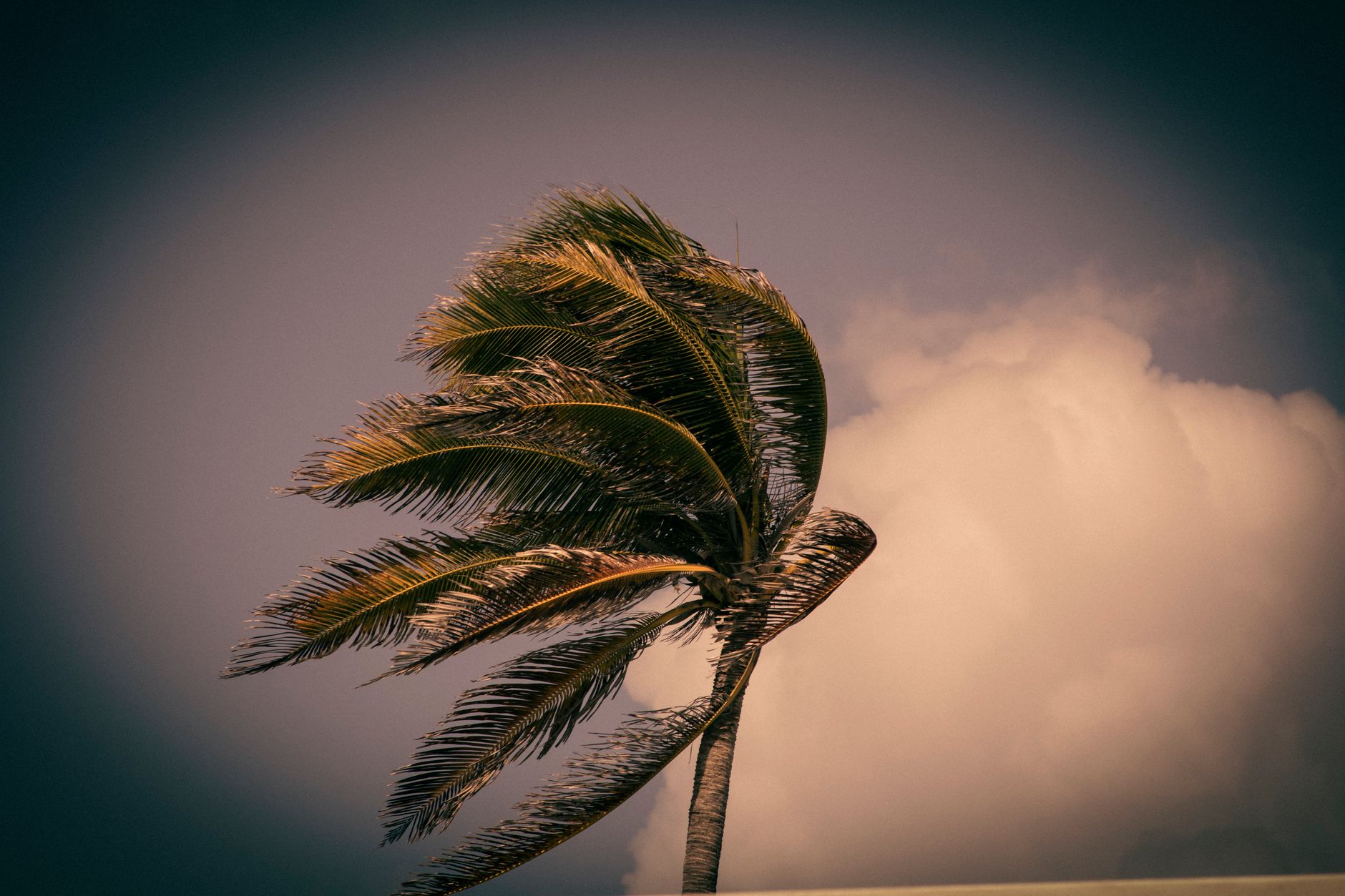 Prepare for Hurricane Season: How a Home Equity Line of Credit Can Help
